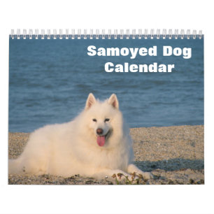 2025 Samoyed Hund Kalender