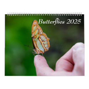 2025 Schmetterlinge Kalender