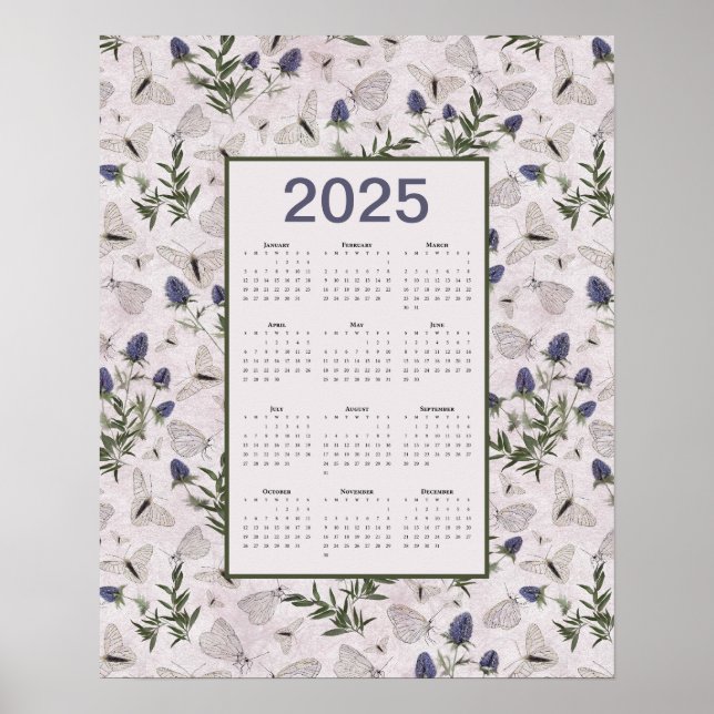 2025 Schmetterlinge - Thistle Wall-Kalender Poster (Vorne)