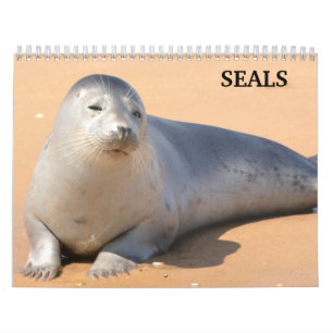 2025 Sea Lion Siegels Calendar Kalender