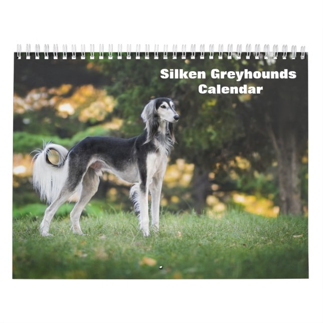 2025 Silken Greyhounds Welpen Kalender (Titelbild)