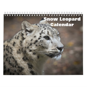 2025 Snow Leopard-Kalender Kalender