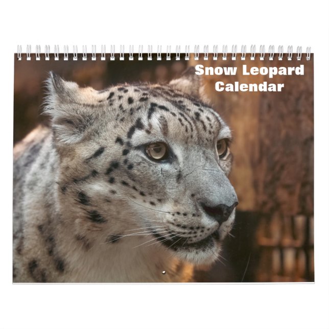 2025 Snow Leopard-Kalender Kalender (Titelbild)