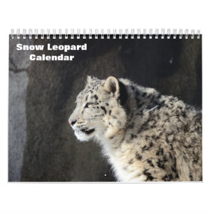 2025 Snow Leopard-Kalender Kalender