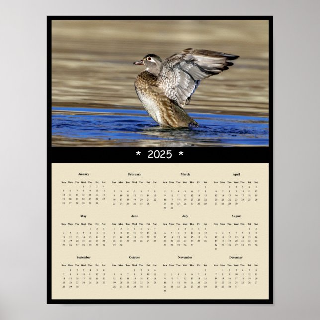 2025: Terminkalender für die Holzhalde Poster (Vorne)