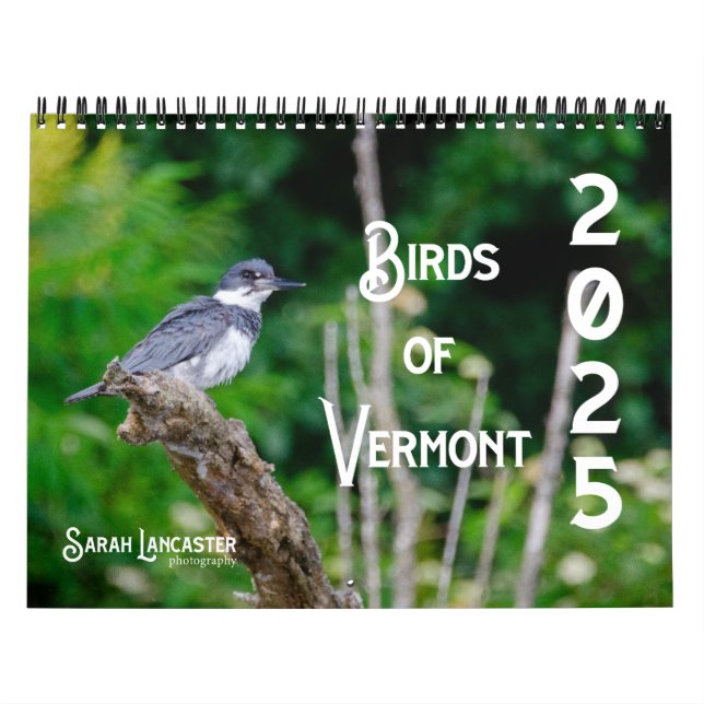 2025 Vögel des Kalenders Vermont Kalender (Titelbild)