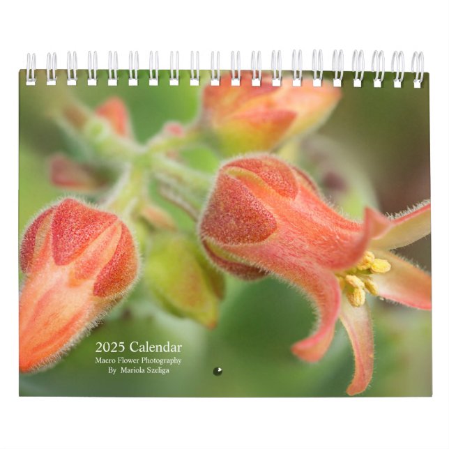 2025 Wall Calendar Blume in Makrofotografie Kalender (Titelbild)