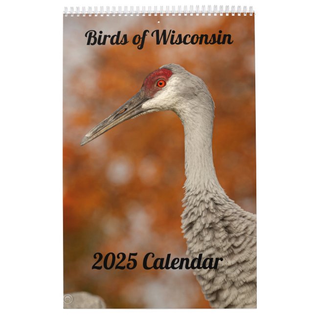 2025 Wisconsin-Vogelkalender Kalender (Titelbild)
