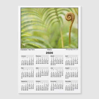 2026 5x7 Magnet Calendar Amau Hawaiian Fern