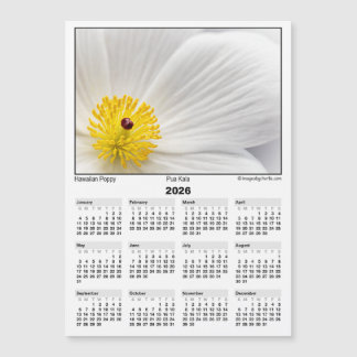 2026 5x7 Magnet Calendar Pua Kala Hawaiian Poppy