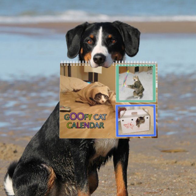 2026 alberner Katzenkalender Kalender (woof)