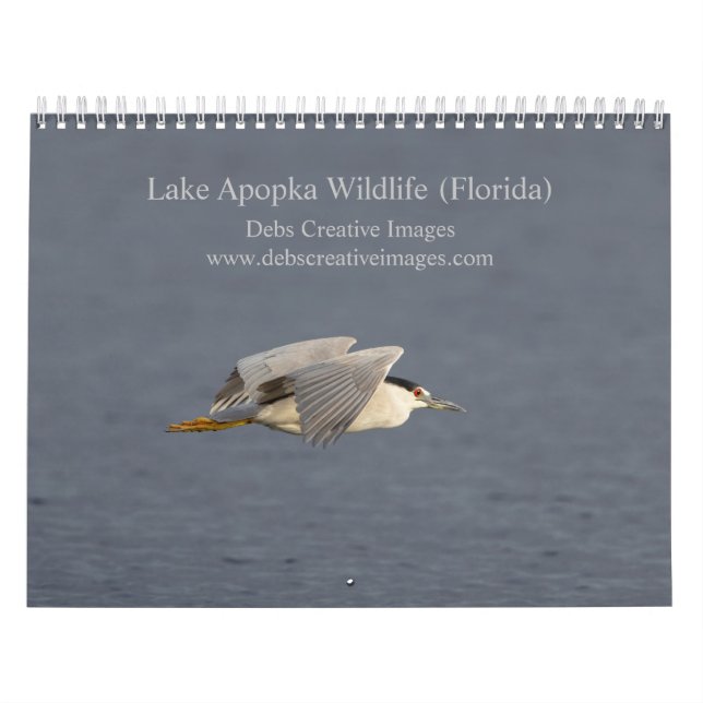 2026 Apoka Wildlife in Florida Kalender (Titelbild)