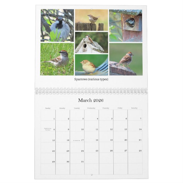 2026 Backyard Birding Calendar Kalender (Mär 2026)