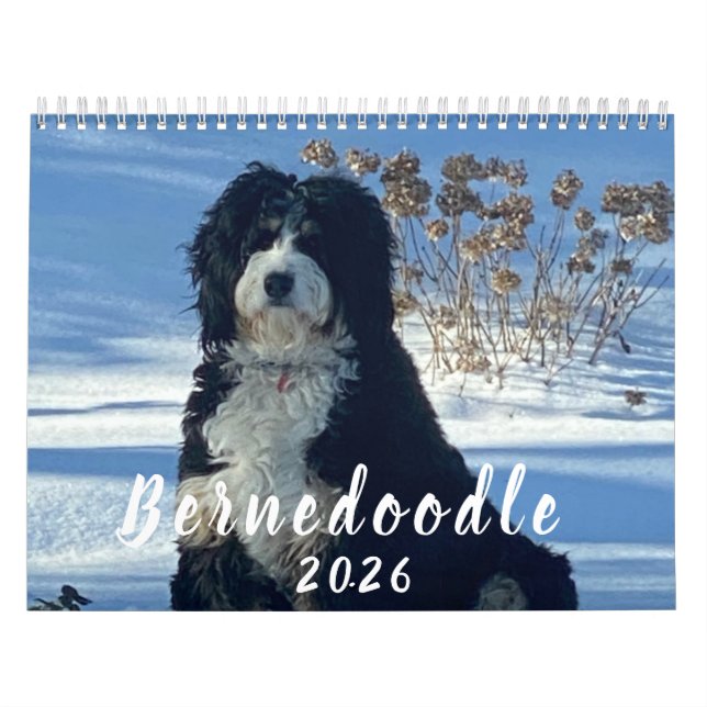 2026 Bernedoodle photo Calendar Kalender (Titelbild)