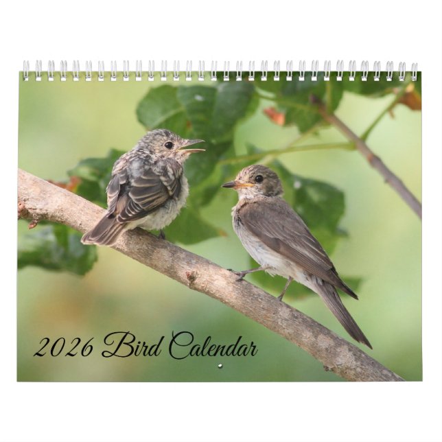 2026 Bird Calendar Kalender (Titelbild)