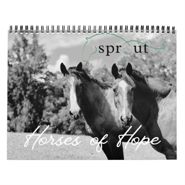 2026 Calendar Kalender (Titelbild)