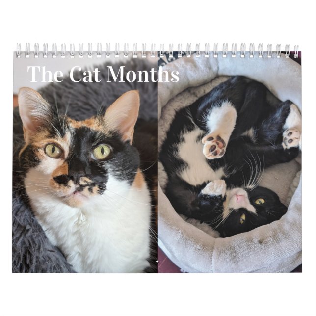 2026 Cat Calendar Kalender (Titelbild)