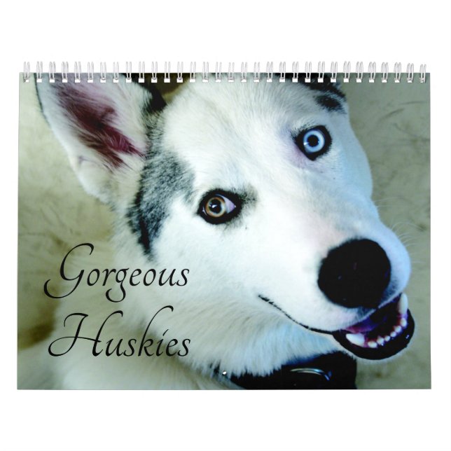 2026 Der wunderschöne sibirische Husky-Dog-Kalende Kalender (Titelbild)