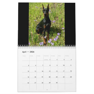 2026 DT Kalender