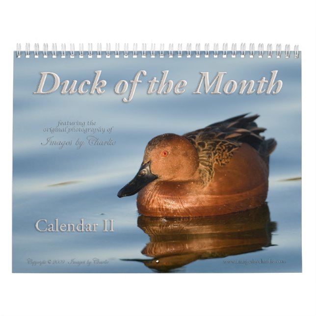 2026 Duck Fotos Wall Calendar Kalender (Titelbild)