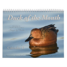 2026 Duck Fotos Wall Calendar