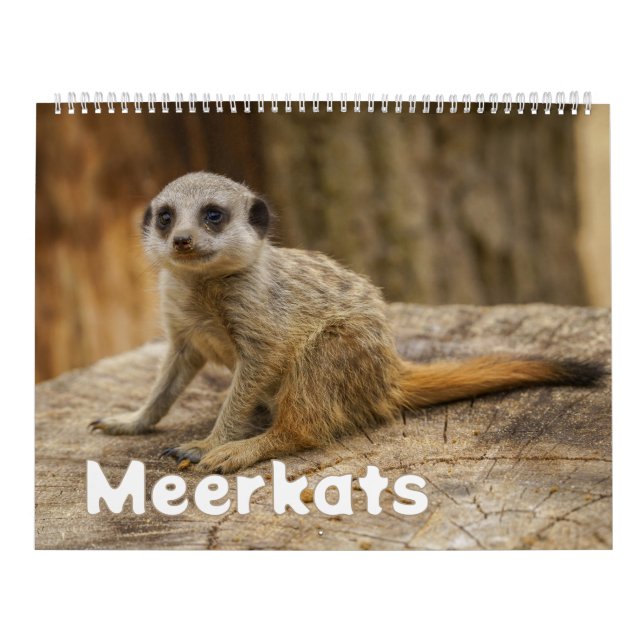2026 Ein Jahr mit Meerkats Kalender (Titelbild)