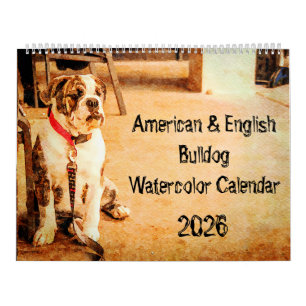2026 English Bulldog British American Bully Gesche Kalender
