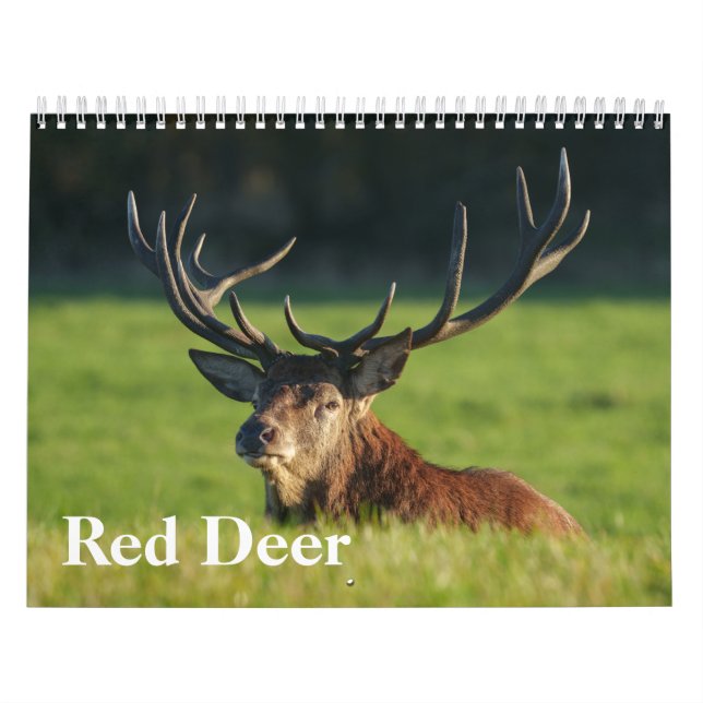2026 Erzbischöfe Kalender (Titelbild)