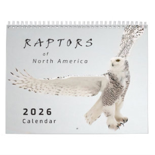 2026 Greifvögel Nordamerikas Vogel-Fotokalender Kalender