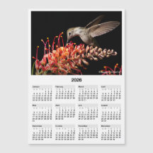 2026 Hummingbird 5x7" Magnetischer Mini-Kalender