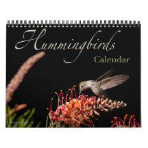 2026 Hummingbird Wall Calendar