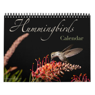 2026 Hummingbird Wall Calendar Kalender