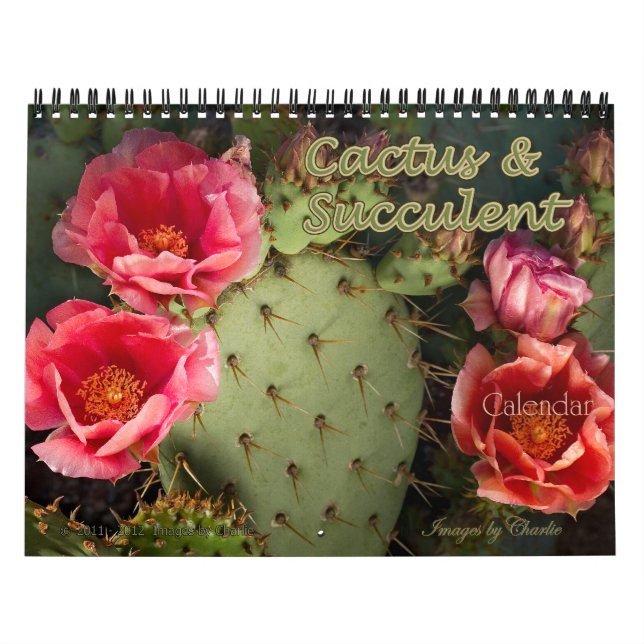 2026 Kakteen & Sukkulent Blume Wall Calendar Kalender (Titelbild)