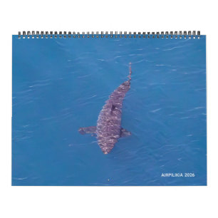 2026 Kalender Airpilikia