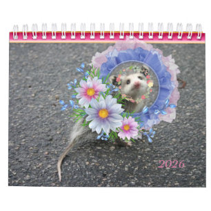 2026 Kalender Farbenfrohe Streifen Opossum