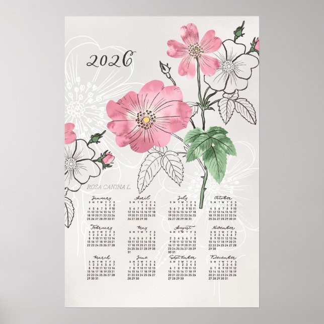 2026 Kalenderposter Botanische Rose Poster (Vorne)