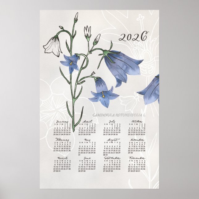 2026 Kalenderposter Botanischer Bluebell Poster (Vorne)