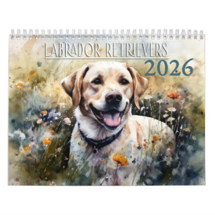2026 Labrador Retriever Kalender