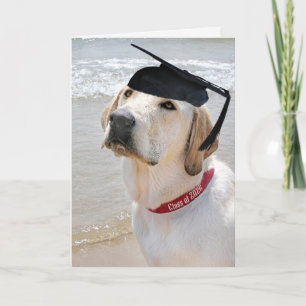 2026 Labrador Retriever mit Abschlussmütze Karte