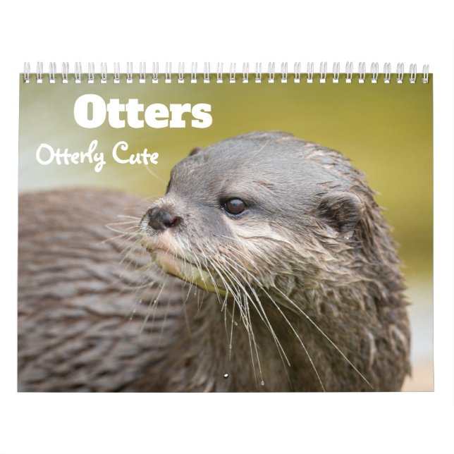 2026 Liter Kalender (Titelbild)