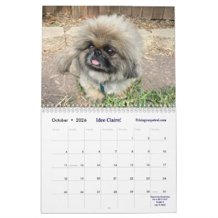 2026 Liz E.'s Pekinger Kalender