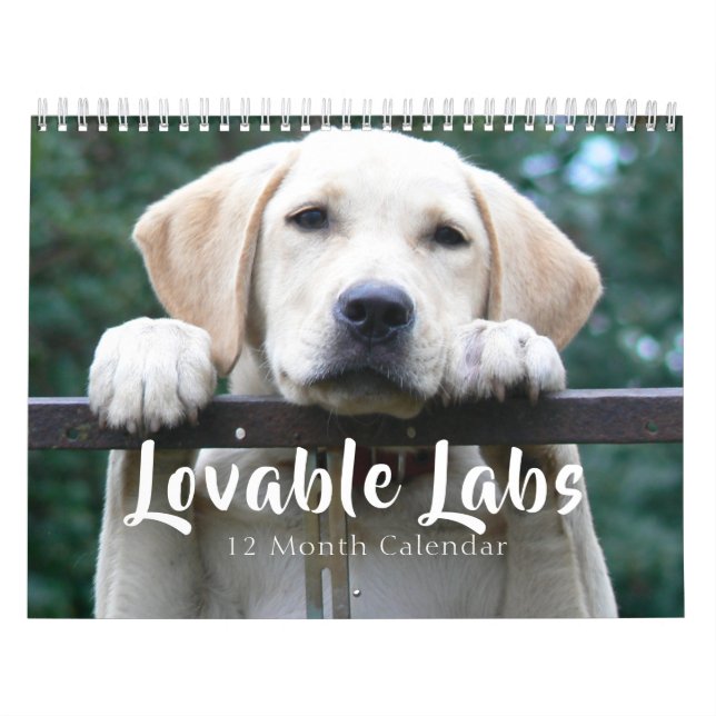 2026 Lovable Labrador Retriever Dog Kalender (Titelbild)