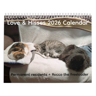 2026 Love & Hisses Kalender - Dauerhafte Bewohner