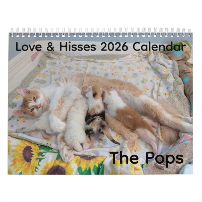 2026 Love & Hisses Kalender - die Pops (Titelbild)