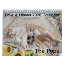 2026 Love & Hisses Kalender - die Pops