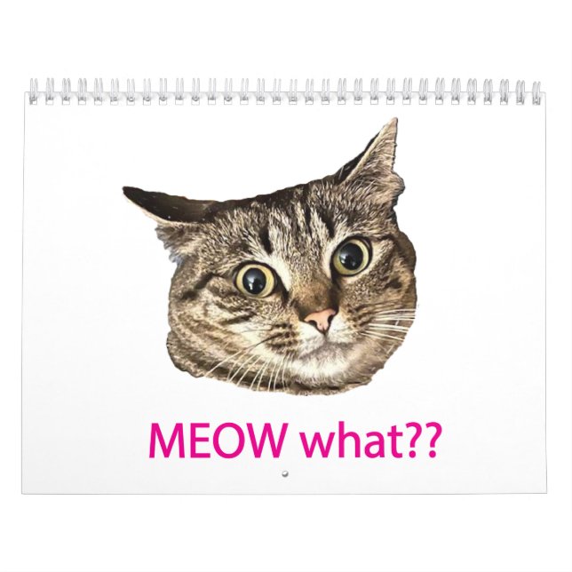2026 MEOW what?? Calendar Kalender (Titelbild)
