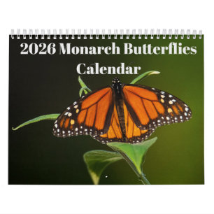 2026 Monarch-Schmetterlinge-Kalender Kalender