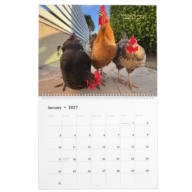 2026 Neighborhood Chicken Kalender - Großformat (Jan 2027)