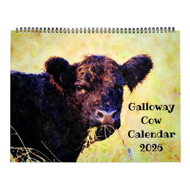 2026 Niedliche Galloway-Kuh Rind Aquarell-Malerei Kalender (Titelbild)
