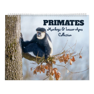 2026 Primate - Affen & Kleinaffen Kalender